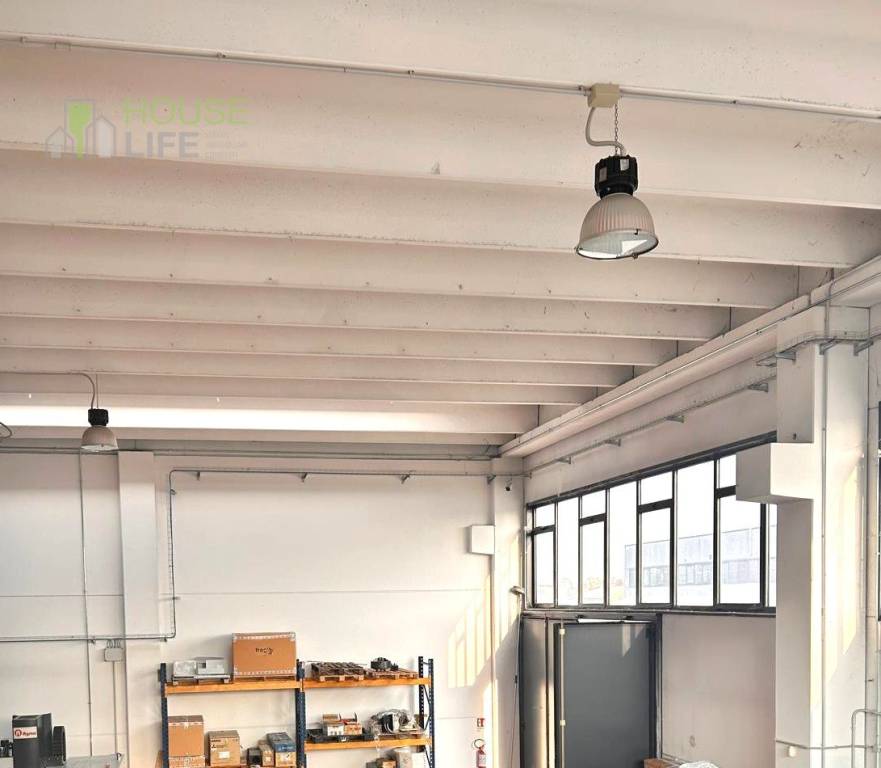 immagine annuncio 1 di 12