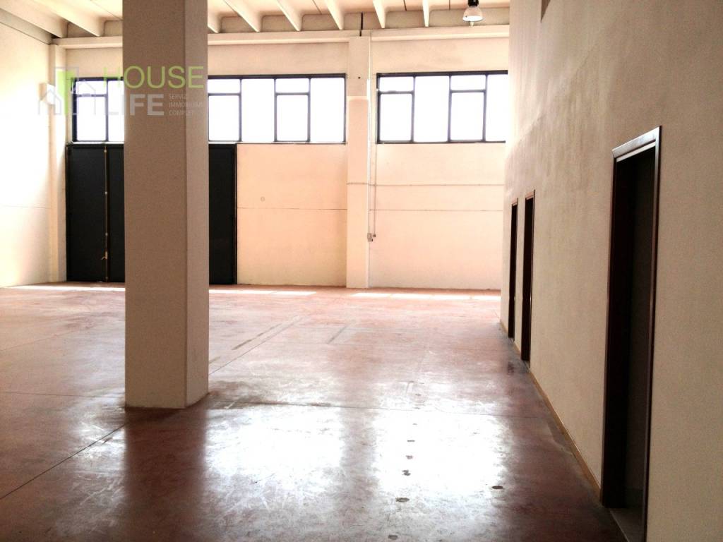 immagine annuncio 4 di 12