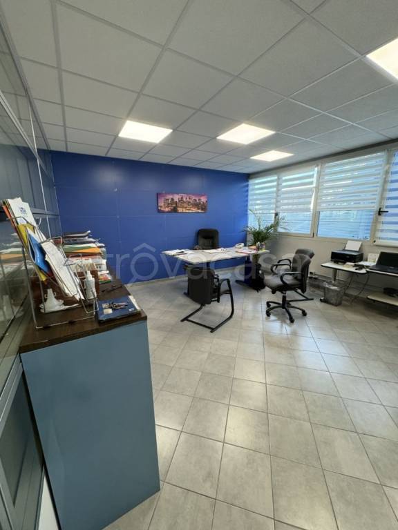 immagine annuncio 4 di 11