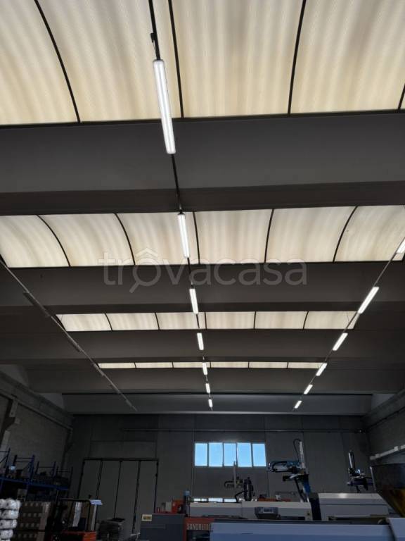 immagine annuncio 5 di 11