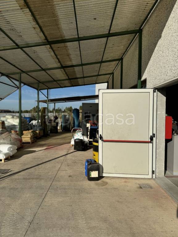 immagine annuncio 7 di 11