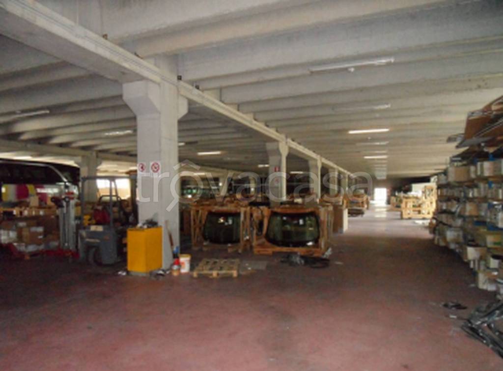 immagine annuncio 6 di 11