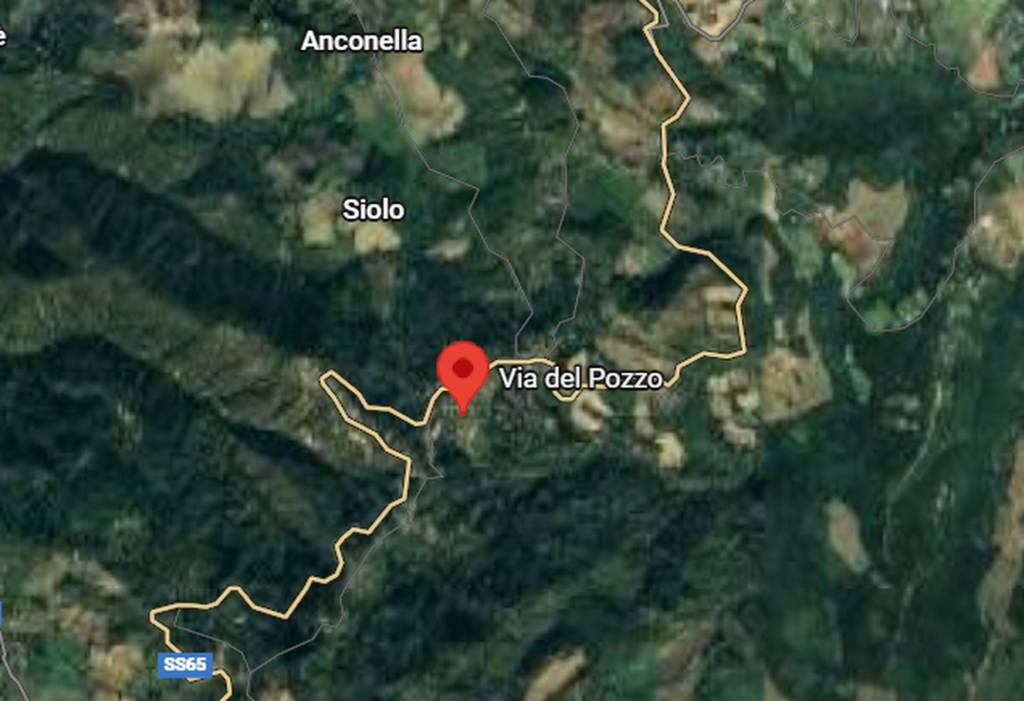 immagine annuncio 2 di 10