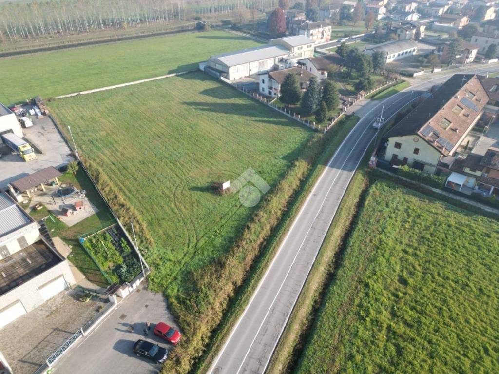 immagine annuncio 6 di 13