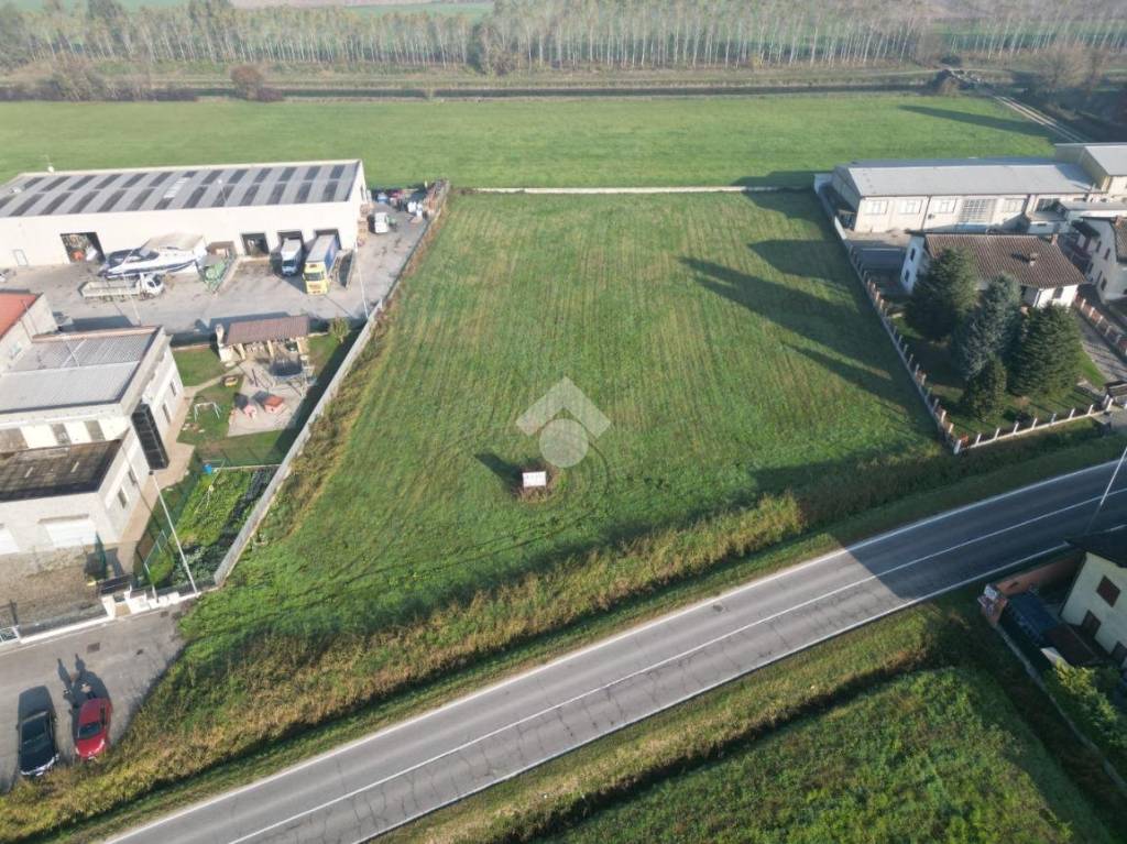 immagine annuncio 12 di 13