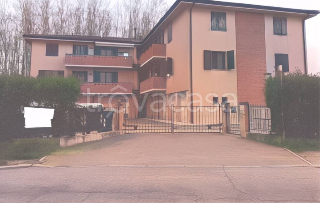 immagine annuncio 2 di 9