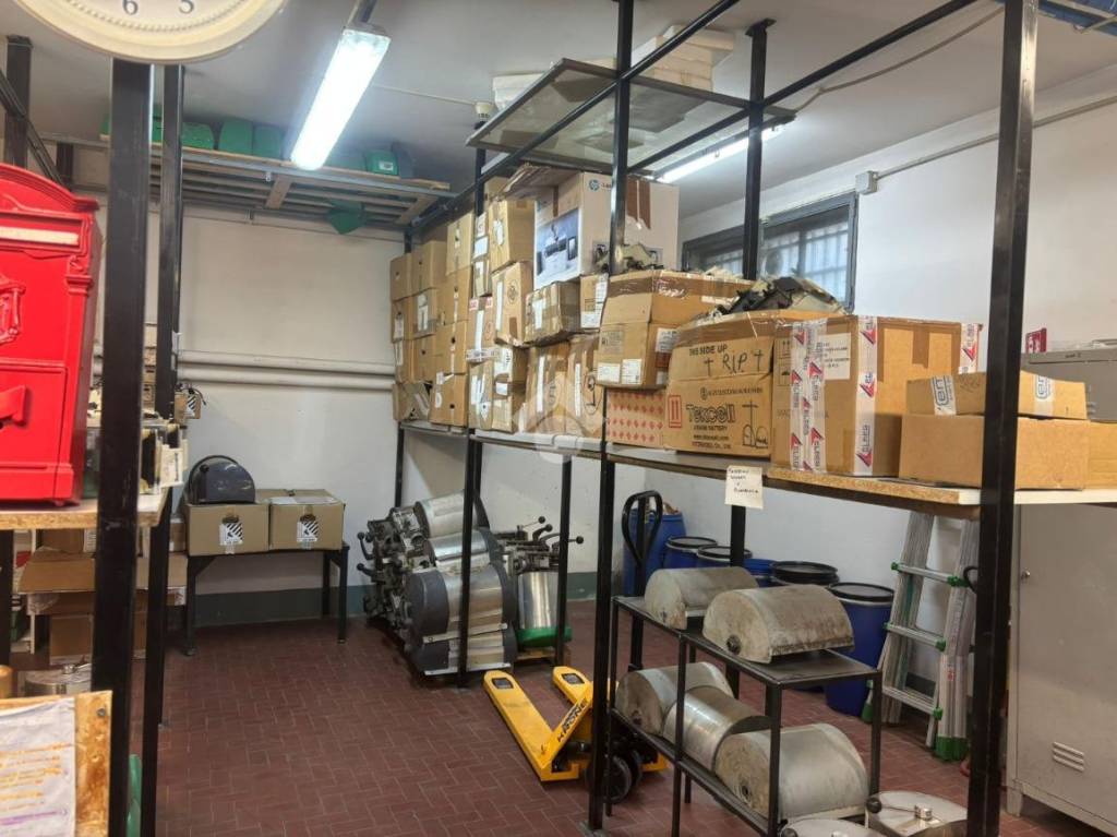 immagine annuncio 11 di 15