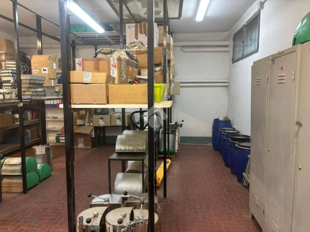 immagine annuncio 12 di 15