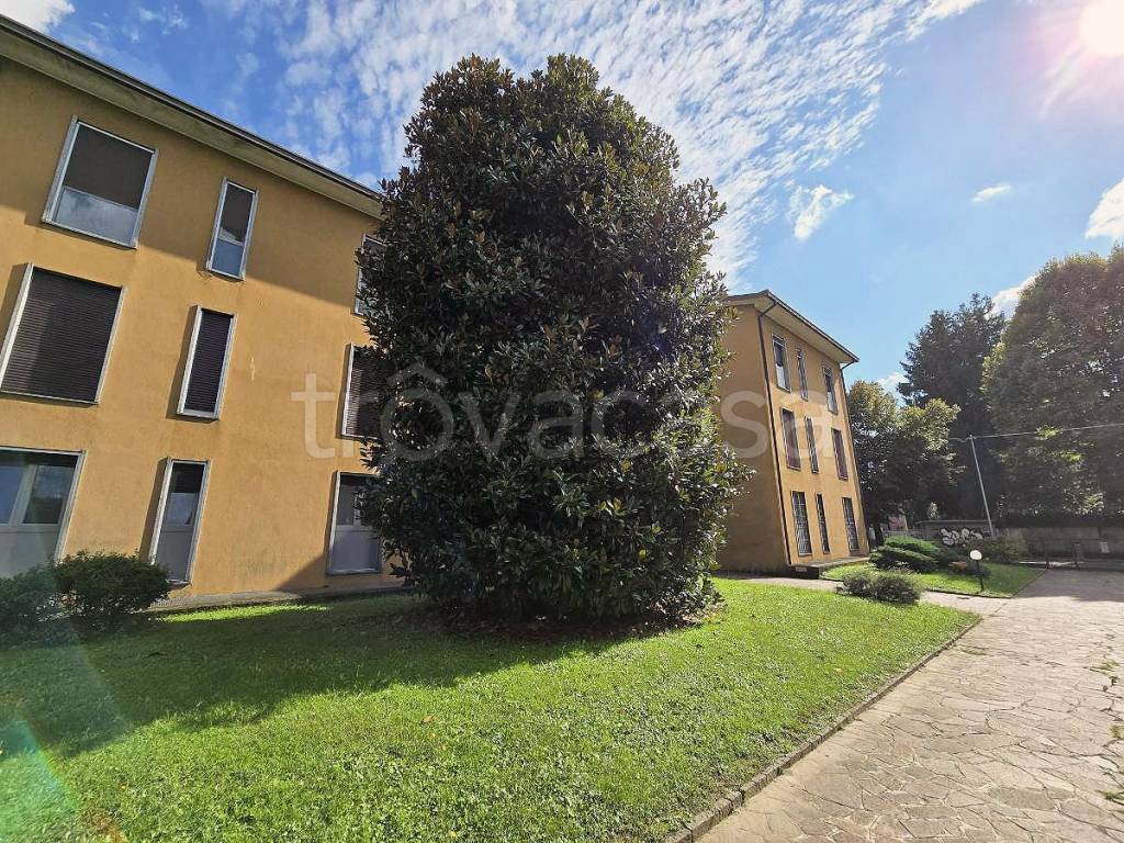 immagine annuncio 8 di 15