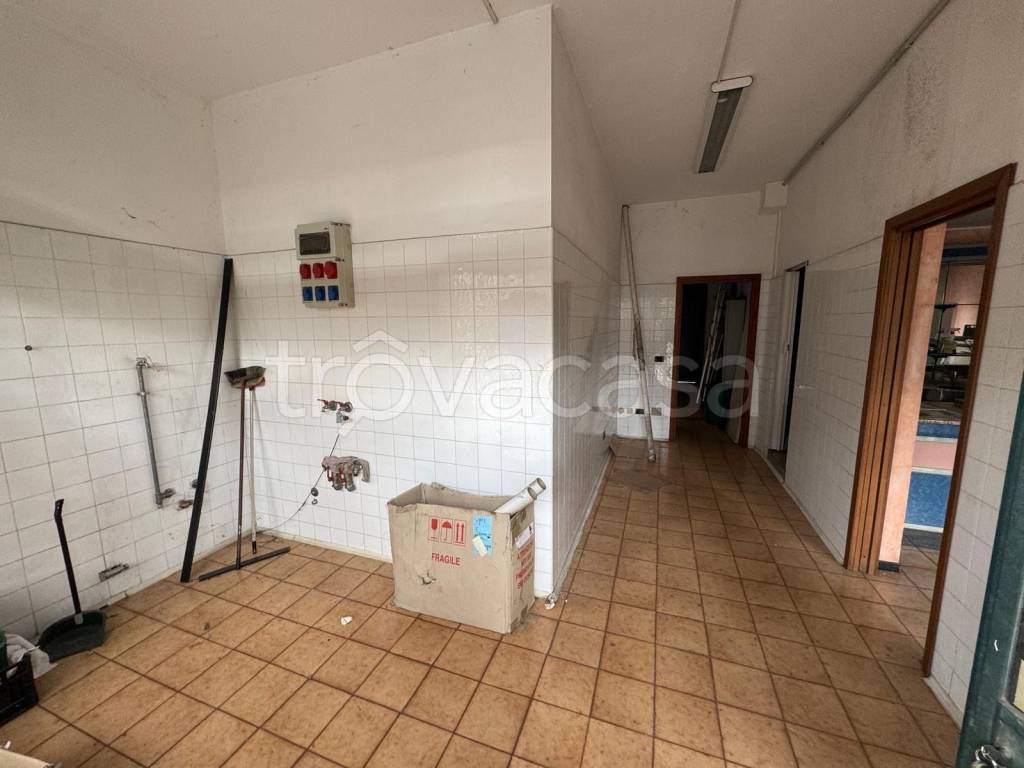 immagine annuncio 4 di 11