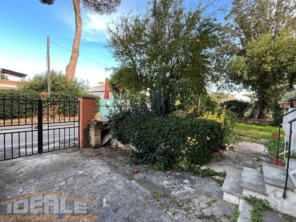 immagine annuncio 2 di 14