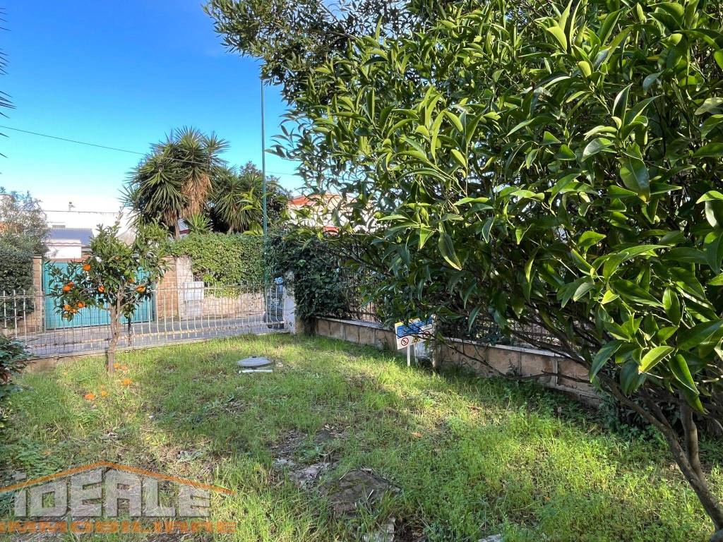 immagine annuncio 3 di 14