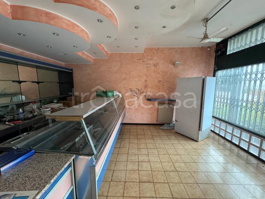 immagine annuncio 6 di 11