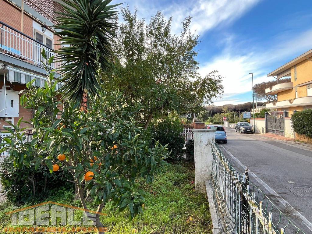 immagine annuncio 5 di 14