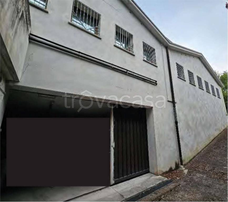 immagine annuncio 6 di 11