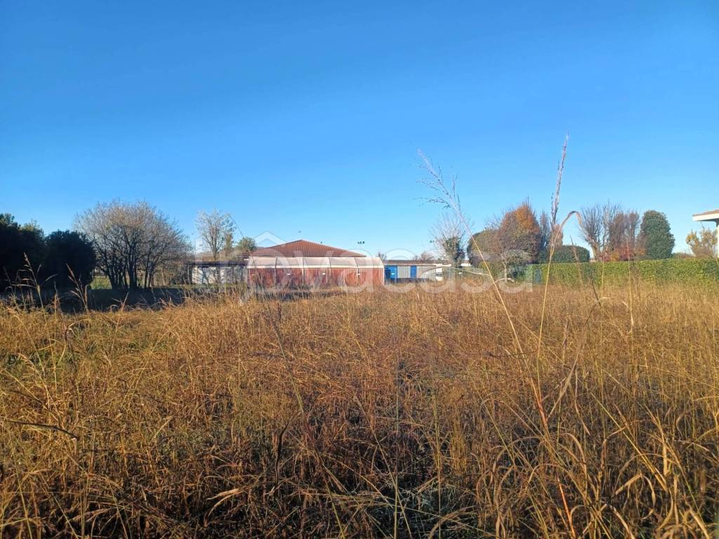 immagine annuncio 3 di 9