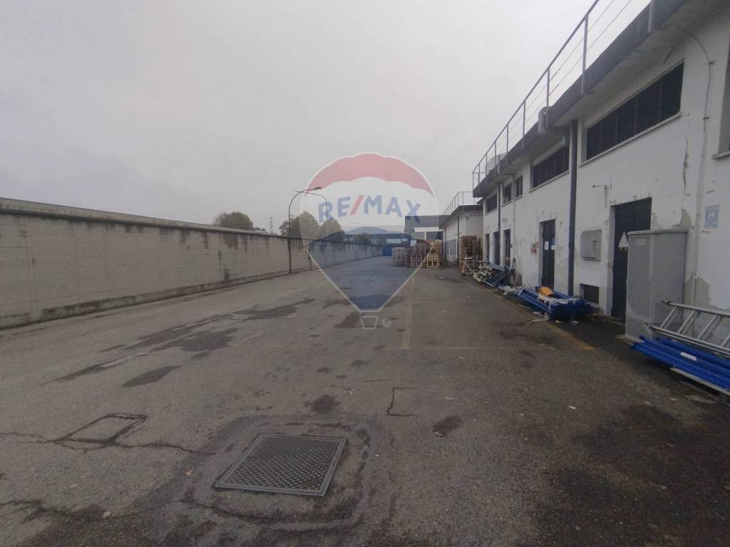 immagine annuncio 5 di 15