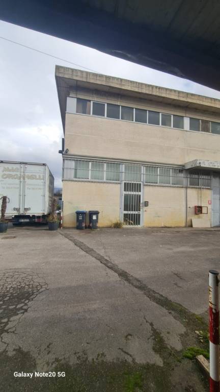 immagine annuncio 1 di 11