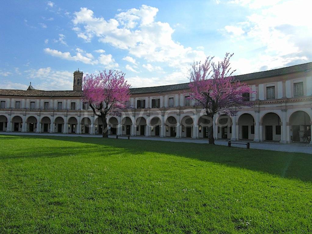 immagine annuncio 2 di 11