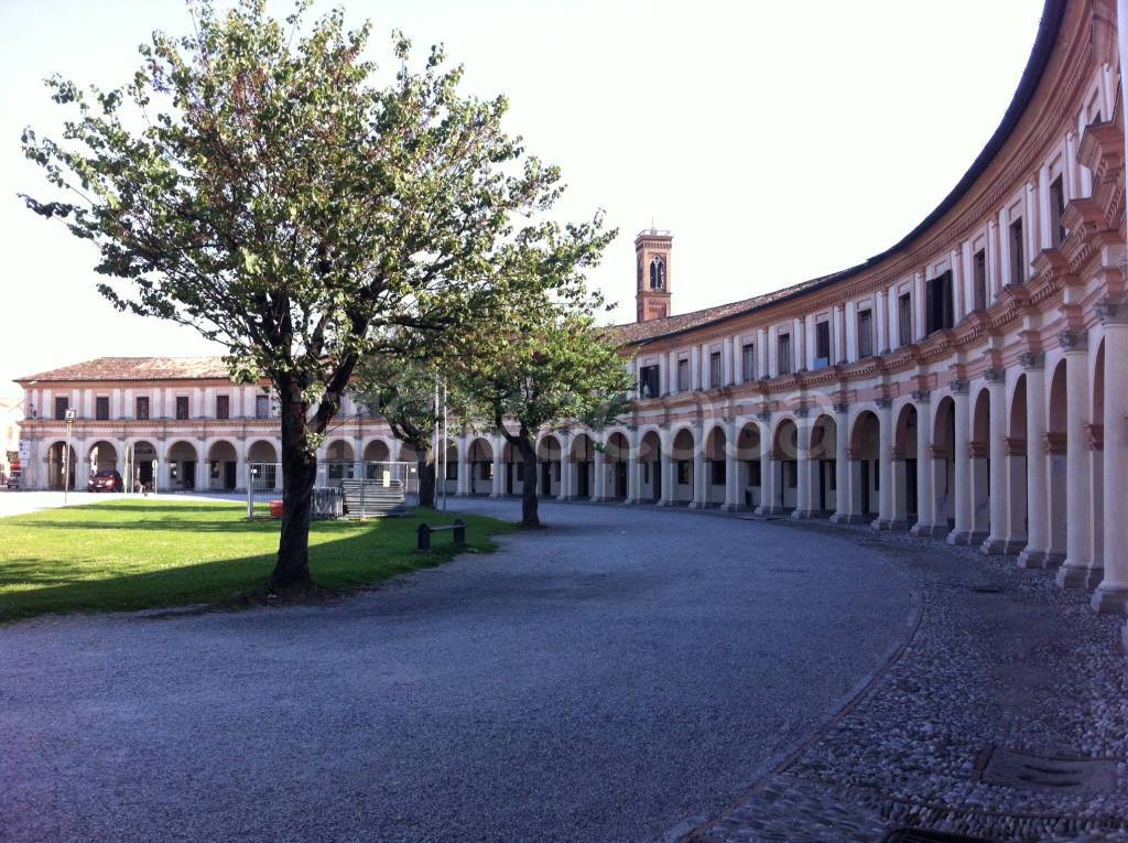 immagine annuncio 3 di 11