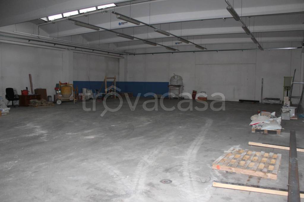 immagine annuncio 2 di 8