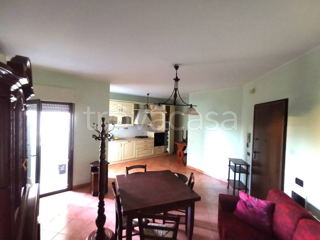 immagine annuncio 3 di 8