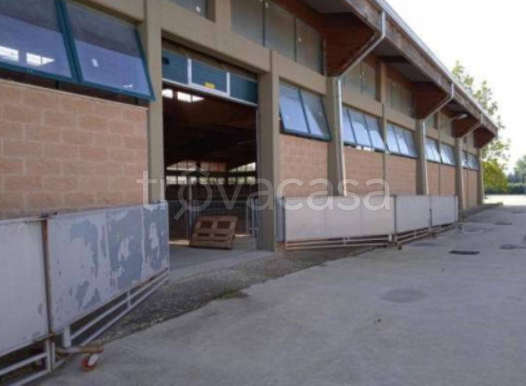 immagine annuncio 8 di 12