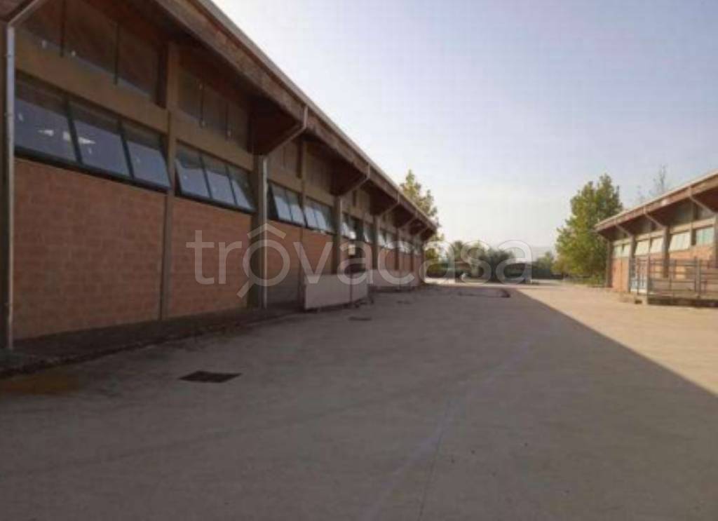 immagine annuncio 9 di 12