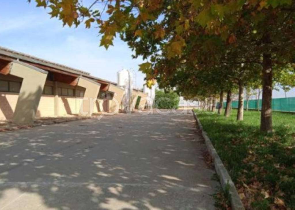 immagine annuncio 10 di 12