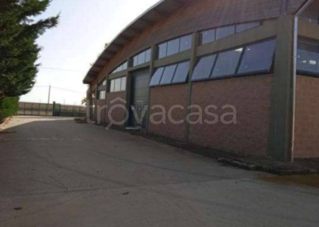 immagine annuncio 11 di 12