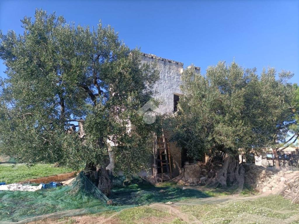 immagine annuncio 2 di 14