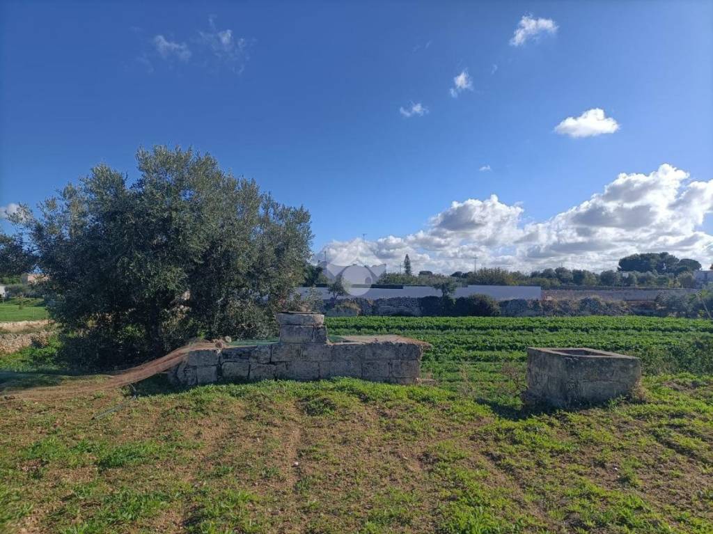 immagine annuncio 6 di 14