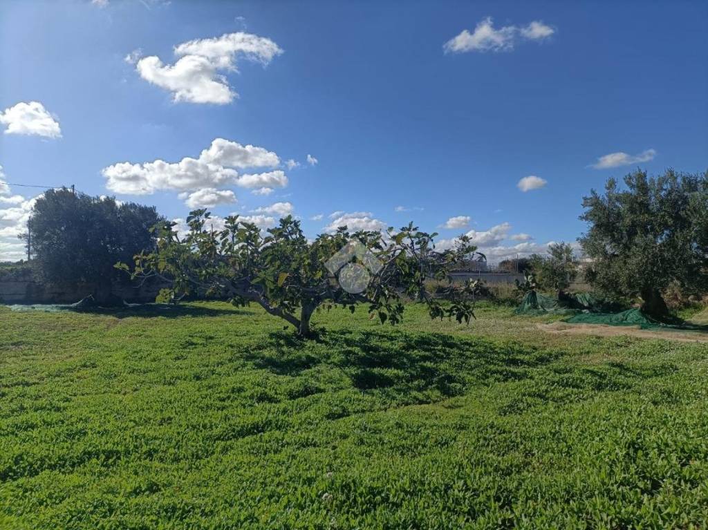 immagine annuncio 10 di 14