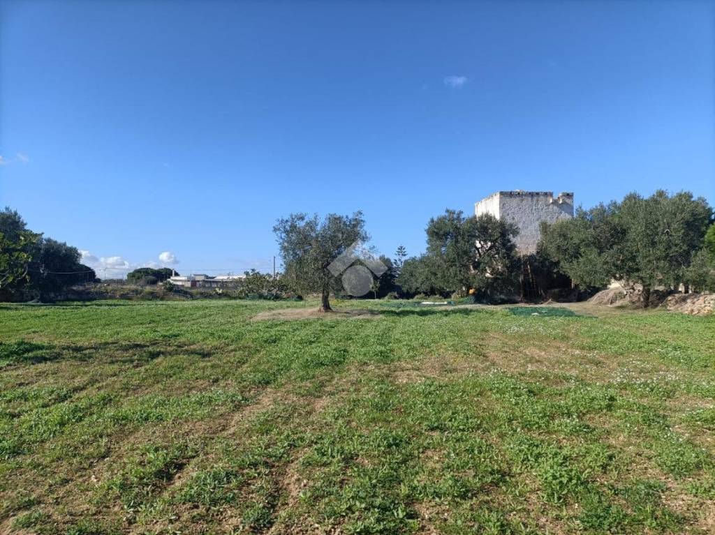 immagine annuncio 13 di 14