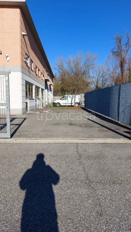 immagine annuncio 4 di 15