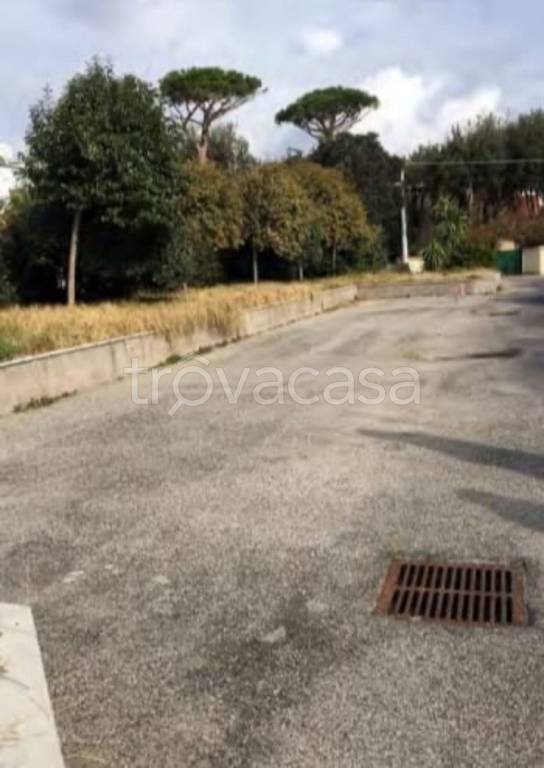 immagine annuncio 7 di 14