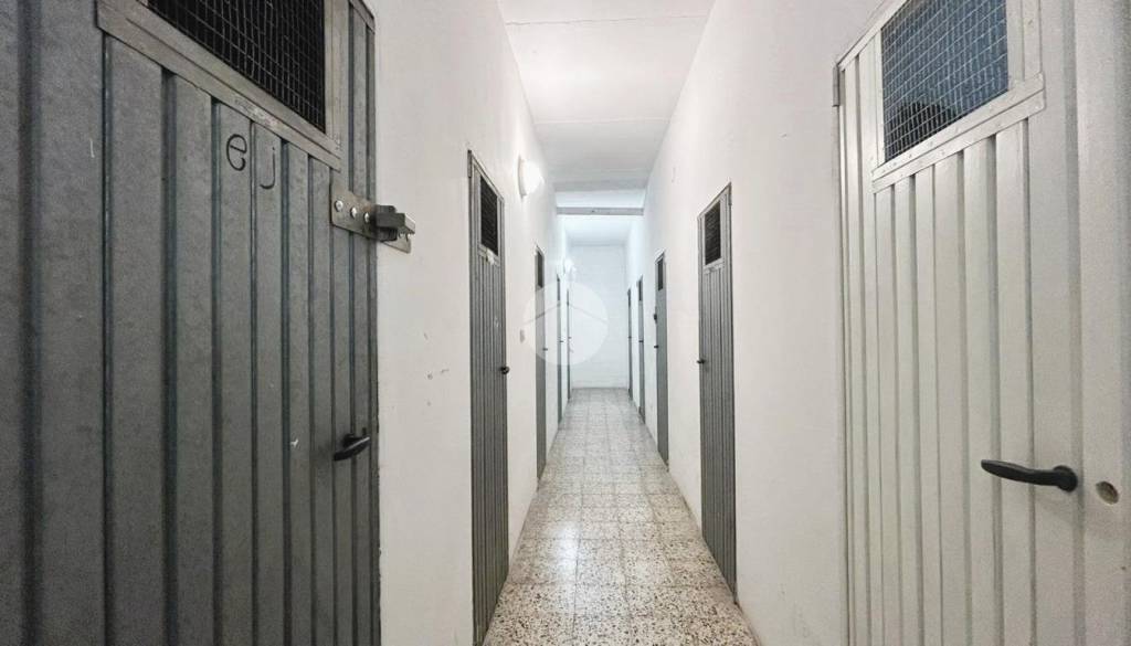 immagine annuncio 11 di 14