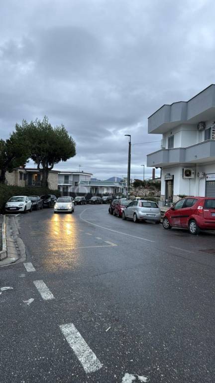 immagine annuncio 11 di 14