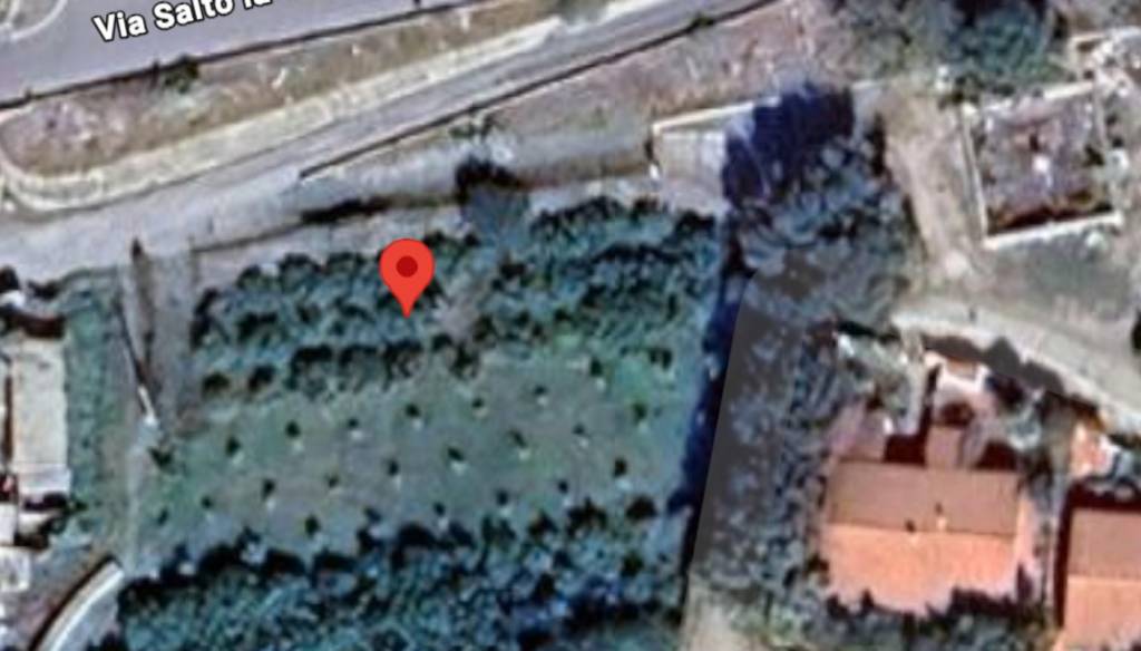 immagine annuncio 3 di 11