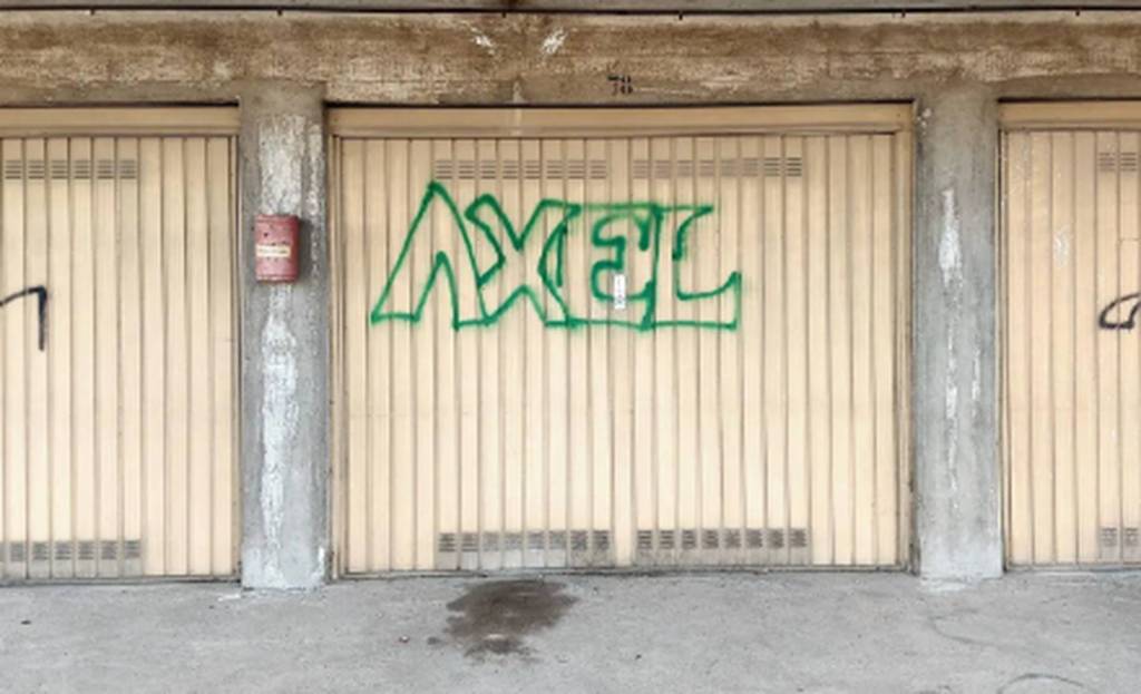 immagine annuncio 10 di 11