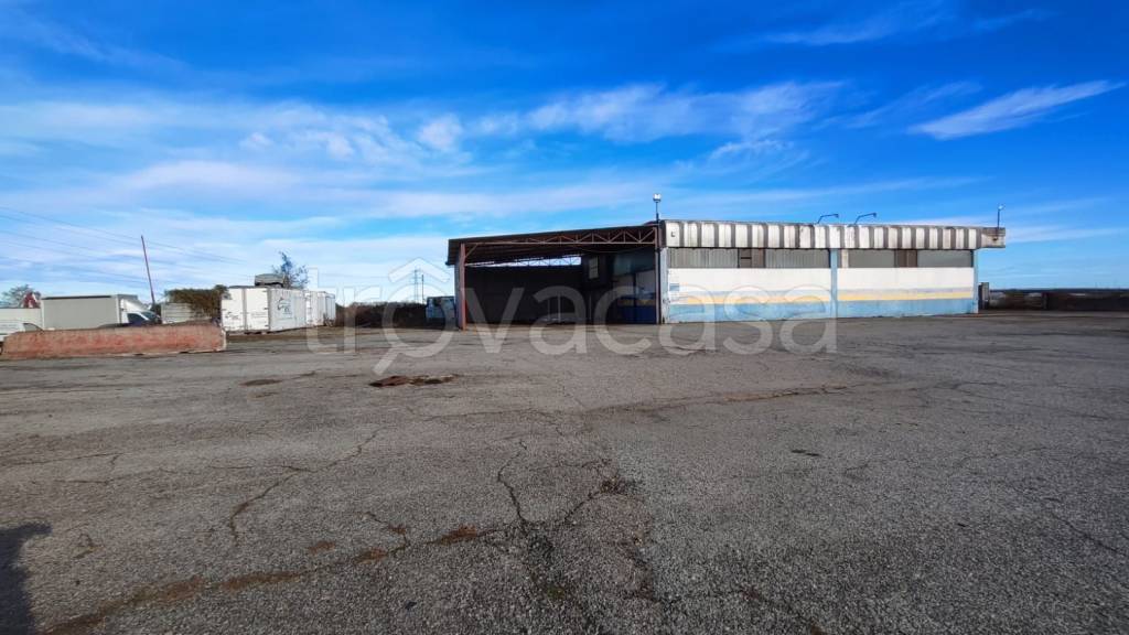 immagine annuncio 1 di 13