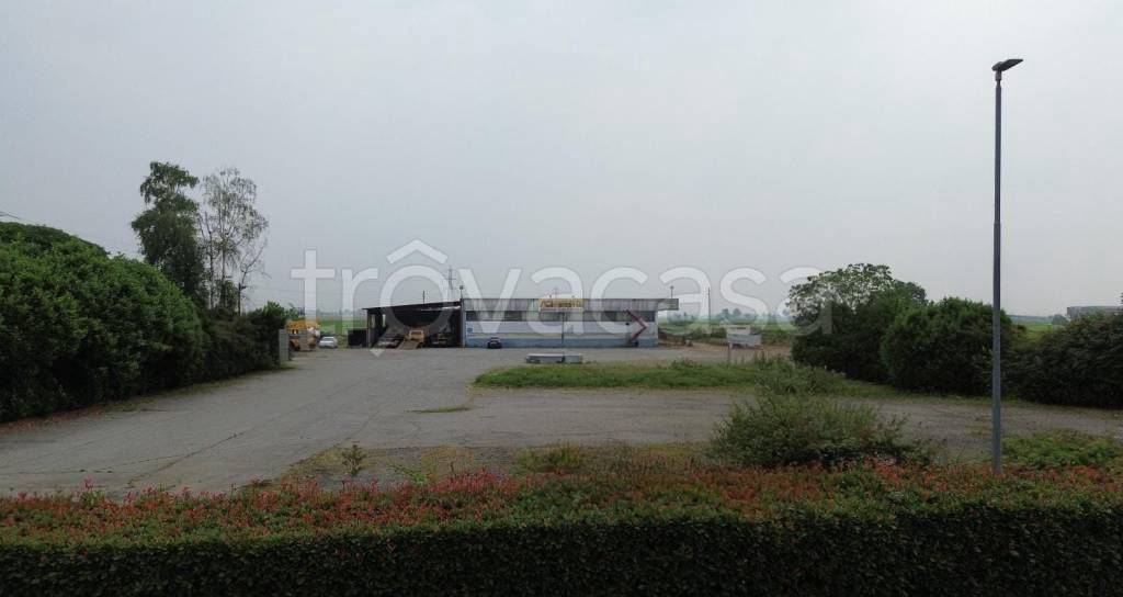 immagine annuncio 9 di 13