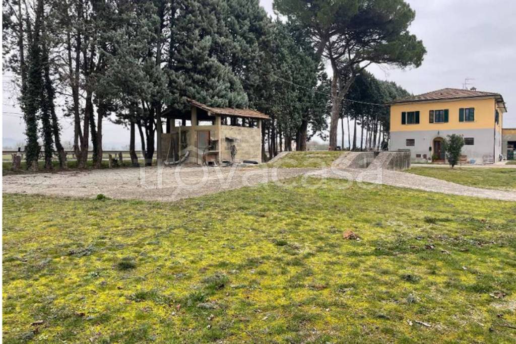 immagine annuncio 2 di 11