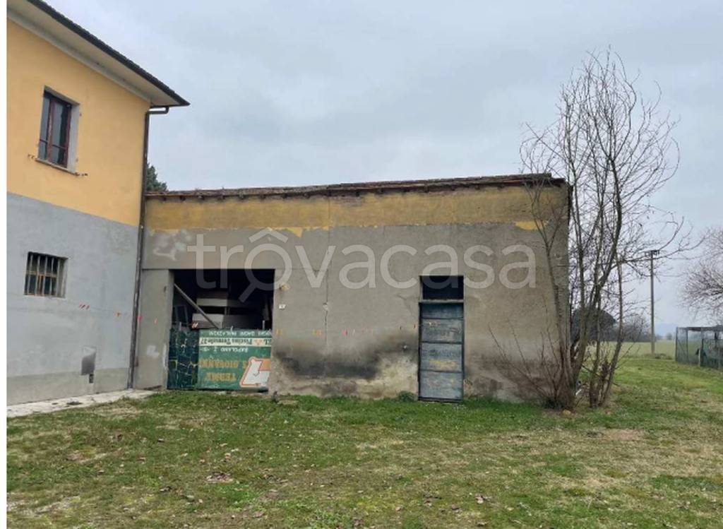 immagine annuncio 3 di 11