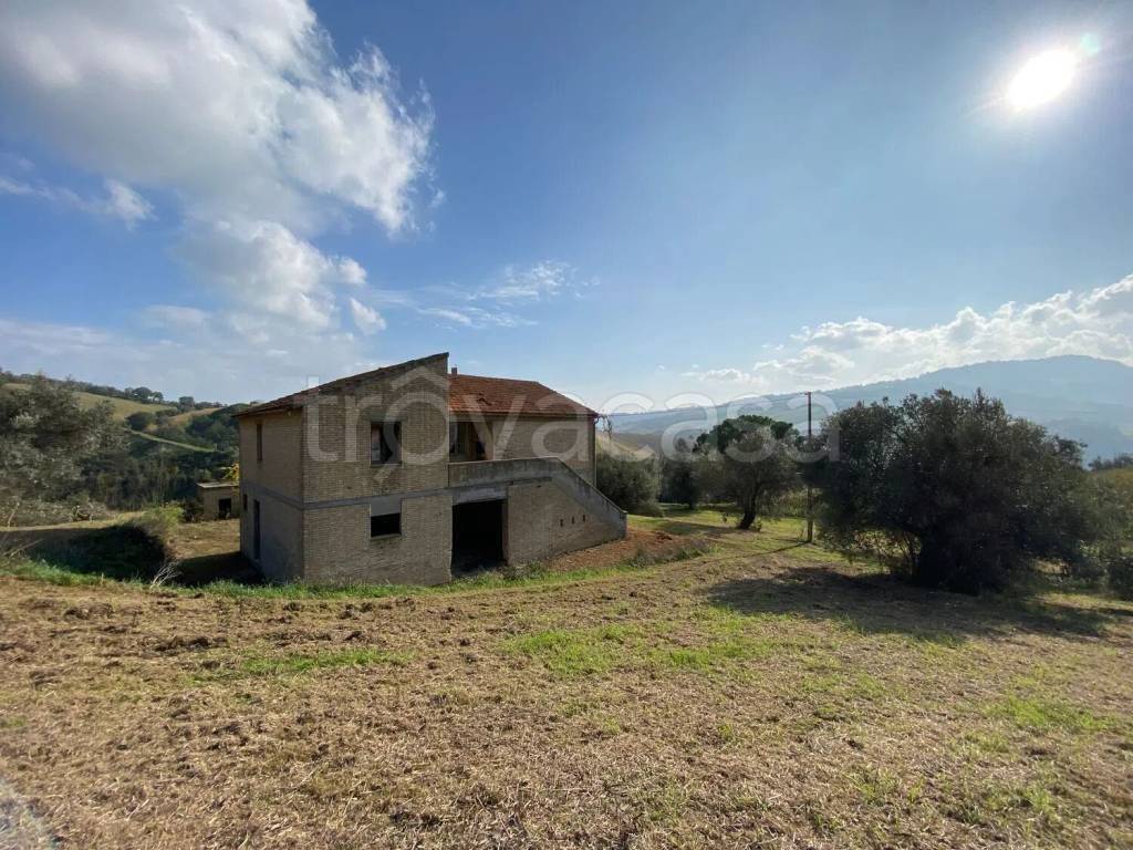 immagine annuncio 3 di 14