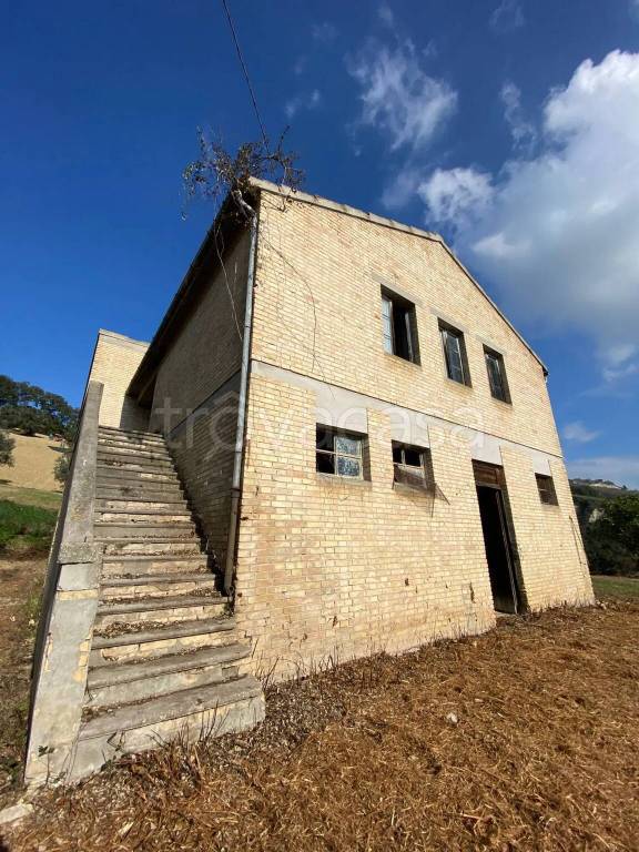 immagine annuncio 4 di 14