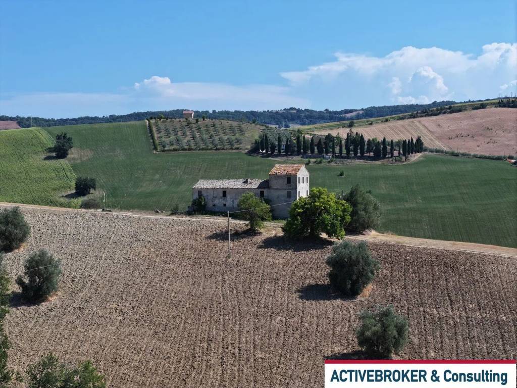 immagine annuncio 12 di 14