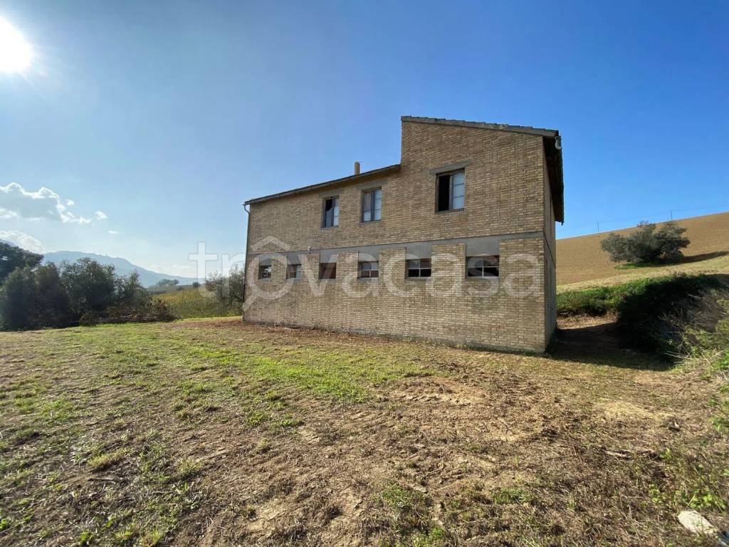 immagine annuncio 9 di 14