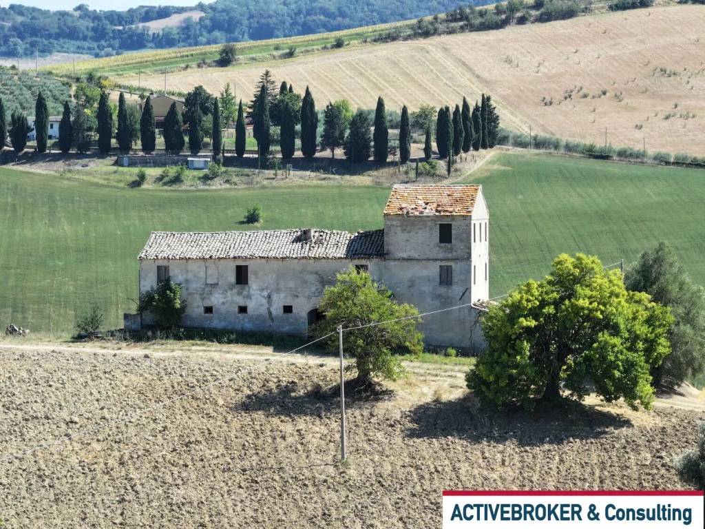 immagine annuncio 10 di 14