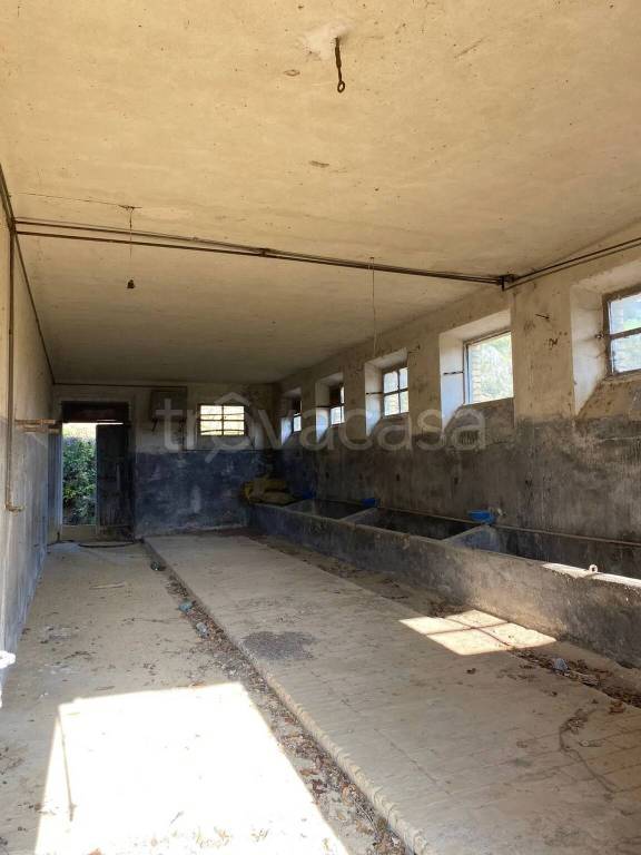 immagine annuncio 10 di 14